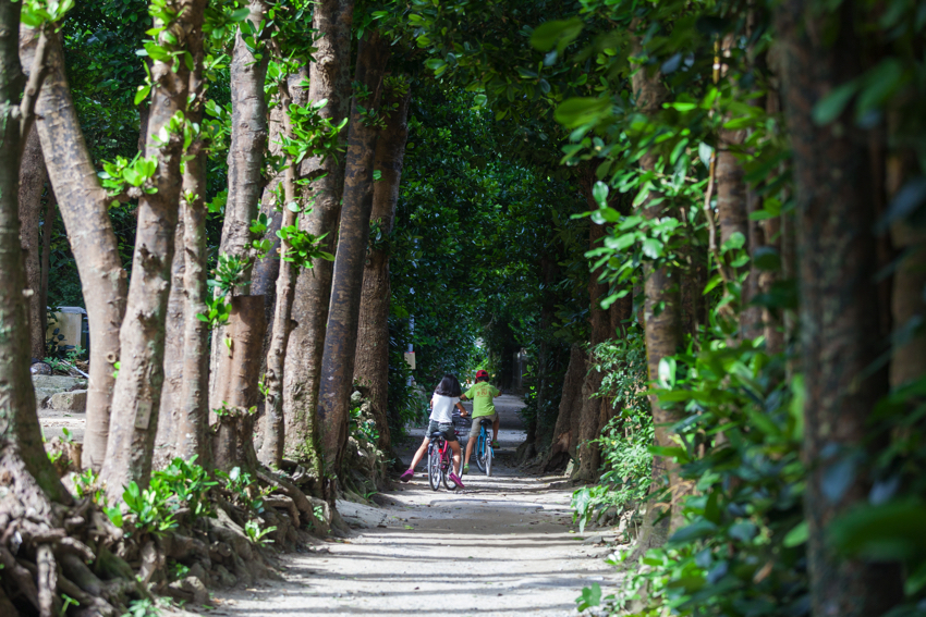 キービジュアル