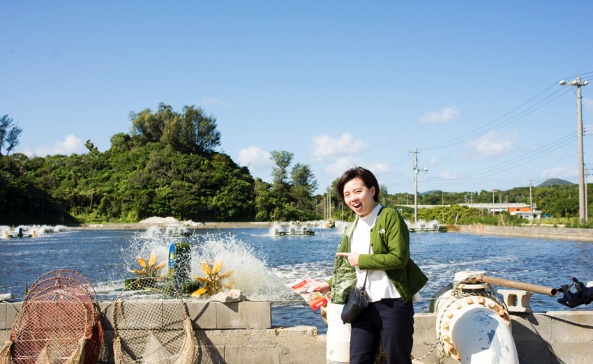 養殖生産量は沖縄が日本一 ゴジラ級の車海老を食べてみた Okinawaholidayhackers