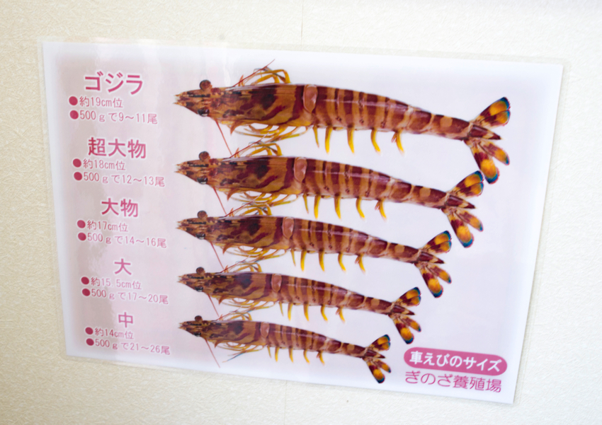 養殖生産量は沖縄が日本一 ゴジラ級の車海老を食べてみた Okinawaholidayhackers