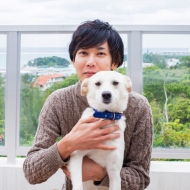 献给爱狗人士!在酒店和爱犬一起住!