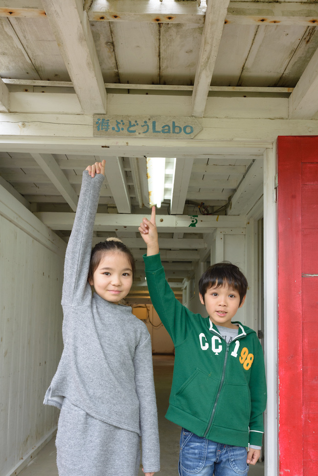 觀光景點 與孩子一起1 開心享受沖繩的海葡萄農園 Okinawaholidayhackers