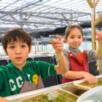 【観光スポット】子連れで120%満喫できる沖縄の海ぶどう農園