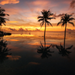 就决定去冲绳了♪安利7所位于恩纳村・西海岸度假村区域的酒店！