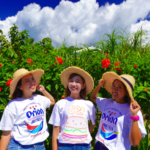 여름 탈출! 오키나와로 가즈아~ ☆비치 HACK 투어 제2탄 (쿠니가미손 편) 