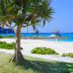 享受的沖繩風！水上設施也能盡情享受的市民海灘「恩納海濱公園nabi-海灘」