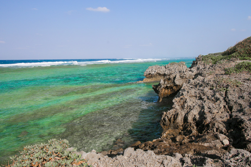 たくさんのカラフルなお魚に出会える 備瀬崎 シュノーケリング好きなら要チェック Okinawaholidayhackers