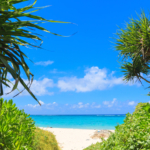 나키진손(今帰仁村)의 아름다운 천연 비치와 8개 동의 독립형 숙박지 소개！