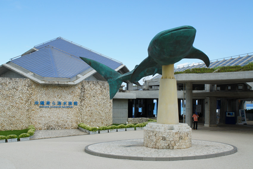 人気観光スポット 美ら海水族館 を2倍楽しむ方法 Okinawaholidayhackers