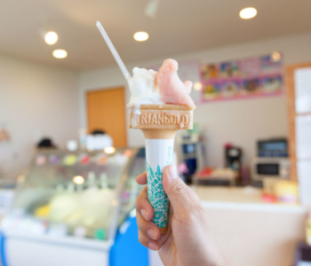 愛甜食的必看!石垣島發現的好吃甜食6選