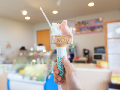 愛甜食的必看!石垣島發現的好吃甜食6選