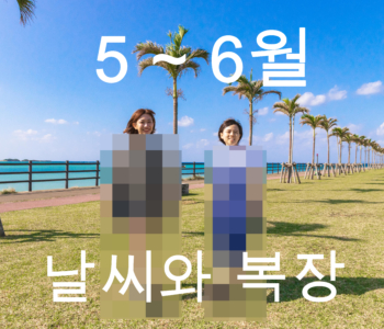 【5월～6월】오키나와 날씨와 옷차림 정보【남녀별】