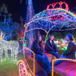 毎年恒例！沖縄の冬を楽しむなら必ず行きたい「東南植物楽園」南国イルミネーション☆