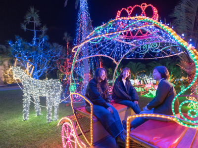 毎年恒例!沖縄の冬を楽しむなら必ず行きたい「東南植物楽園」南国イルミネーション☆