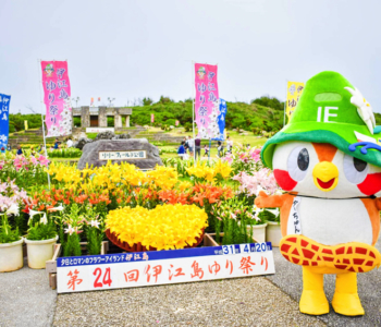 2019年 伊江島百合花祭懶人包!開花狀況、本部港停車、會場接駁車等情報為您一網打盡!