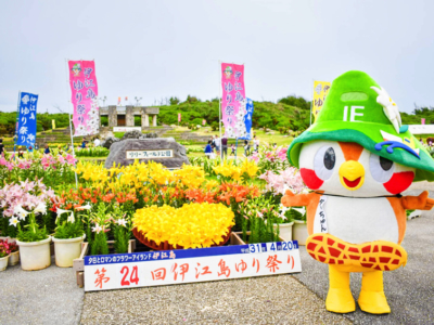 2019年 伊江島百合花祭懶人包!開花狀況、本部港停車、會場接駁車等情報為您一網打盡!