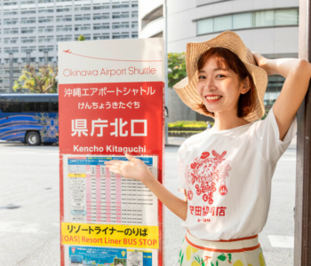 【必読】車なしで北部グルメ巡り!那覇発「沖縄エアポートシャトル」で日帰りバス旅 〜備瀬フクギ並木編〜