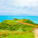 【エリア別】沖縄ドライブ中に立ち寄れる絶景スポット３選