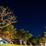 充足的設備與美麗的大自然！位於沖繩北部露營場地3選