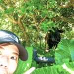 牛比人多？！從石垣島搭乘渡輪前往黑島騎自行車環島～！