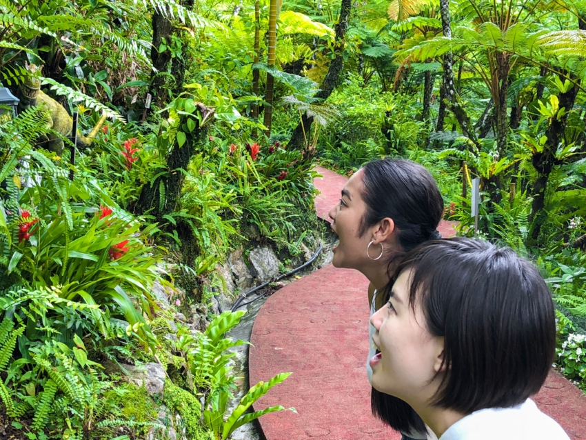 沖縄の御菓子御殿「DINO恐竜PARK やんばる亜熱帯の森」でジュラ紀にタイムスリップ！｜OkinawaHolidayHackers