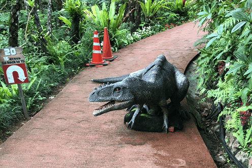 沖縄の御菓子御殿 Dino恐竜park やんばる亜熱帯の森 でジュラ紀にタイムスリップ Okinawaholidayhackers