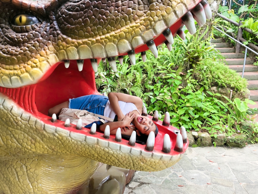 沖縄の御菓子御殿 Dino恐竜park やんばる亜熱帯の森 でジュラ紀にタイムスリップ Okinawaholidayhackers