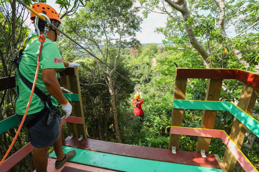 Sightseeing Spot Run Through The Wild Forest Of Yanbaru A Refreshing Zipline Experience In Higashimura The Northern Part Of Okinawa Okinawaholidayhackers