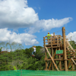 【観光スポット】沖縄の大自然やんばるの森を駆け抜ける！本島北部の東村で気分爽快ジップライン！