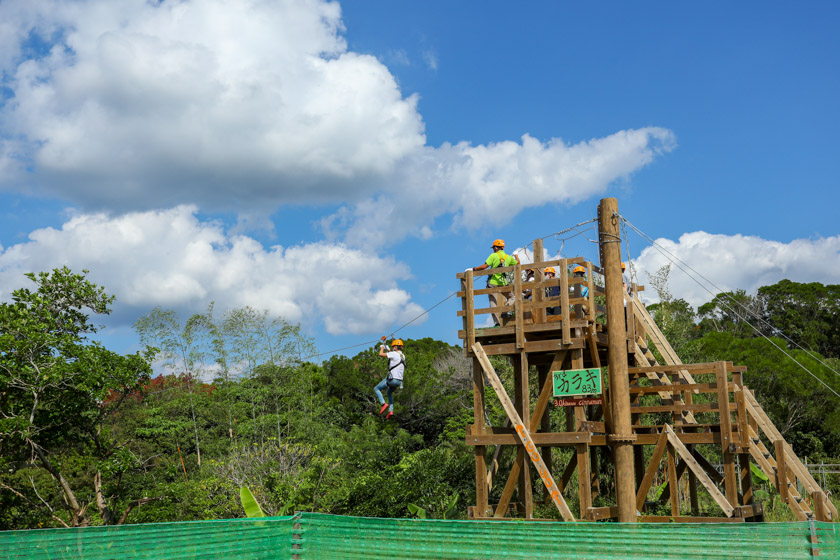 Sightseeing Spot Run Through The Wild Forest Of Yanbaru A Refreshing Zipline Experience In Higashimura The Northern Part Of Okinawa Okinawaholidayhackers