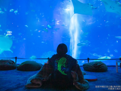 【2020年 1/12~2/28の期間限定】沖縄美ら海水族館が夜21時まで開館「美ら海ナイトアクアリウム」って?!