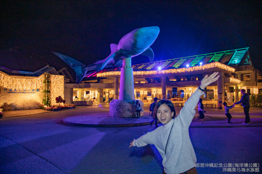 年 1 12 2 28の期間限定 沖縄美ら海水族館が夜21時まで開館 美ら海 ナイトアクアリウム って Okinawaholidayhackers