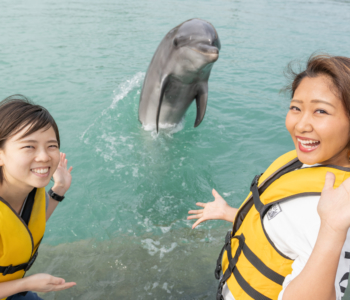 힐링이 필요하다면 꼭 보세요! 오키나와에서 돌고래와 함께 놀아봐요!「모토부 겡키무라(건강마을)」에 다녀왔어요☆