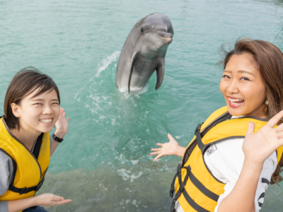 想被療癒的您別錯過!在沖繩與海豚邂逅,能觸摸!還能一起玩!一起去「本部元氣村」一探究竟吧☆