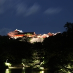 首里城再建支援！様々なチャリティをまとめました！