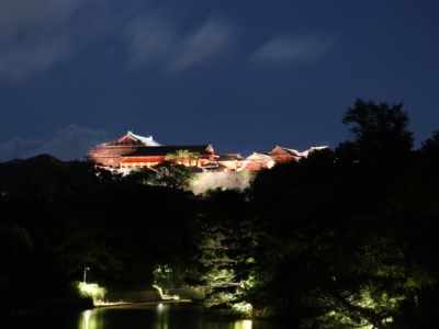 首里城再建支援!様々なチャリティをまとめました!