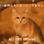 【観光スポット】週末のお出かけにネオパークオキナワ！色んな動物に触れ合えて出会えるスポット