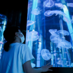  【觀光景點】距離機場約20分鐘車程  「DMM Kariyushi水族館」結合影像和聲音的娛樂型水族館 