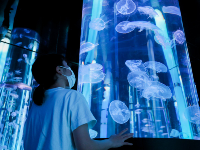 【觀光景點】距離機場約20分鐘車程  「DMM Kariyushi水族館」結合影像和聲音的娛樂型水族館
