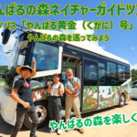 【観光体験】EVバス「やんばる黄金（くがに）号」に乗って巡る【やんばるの森ネイチャーガイドツアー】に参加してみた
