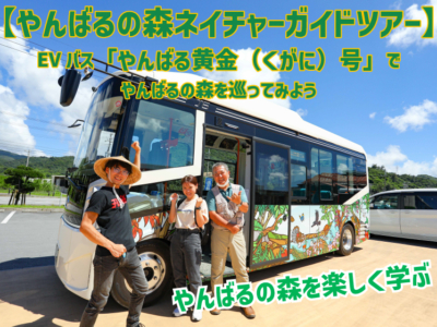 【観光体験】EVバス「やんばる黄金(くがに)号」に乗って巡る【やんばるの森ネイチャーガイドツアー】に参加してみた