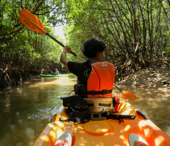 【観光体験】やんばるでマングローブカヤック!慶佐次でカヤックするなら『やんばる自然塾』