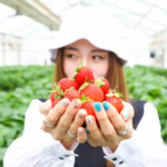 【観光スポット】いちご狩り農園に隣接する「イチゴカフェ」へ行ってきた！