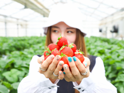 【観光スポット】いちご狩り農園に隣接する「イチゴカフェ」へ行ってきた!