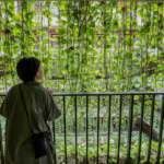 夜景も楽しめる贅沢な「MBギャラリーチャタン byザ・テラスホテルズ」【ホテルツアーvol.19】