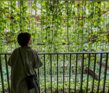 夜景も楽しめる贅沢な「MBギャラリーチャタン byザ・テラスホテルズ」【ホテルツアーvol.19】