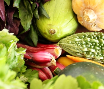 あなたは、いくつ知ってる?沖縄の野菜特集!