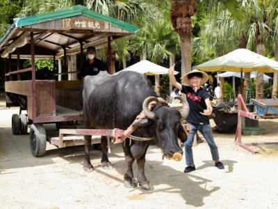 【観光スポット】魅力集まる八重山の離島を堪能!竹富島と西表島でアクティビティしてきた 石垣島旅2日目